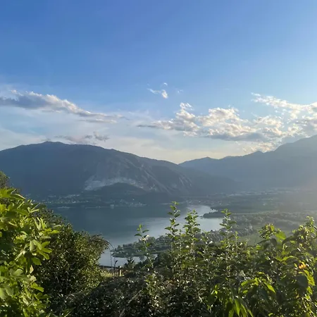 Design 韦尔巴尼亚